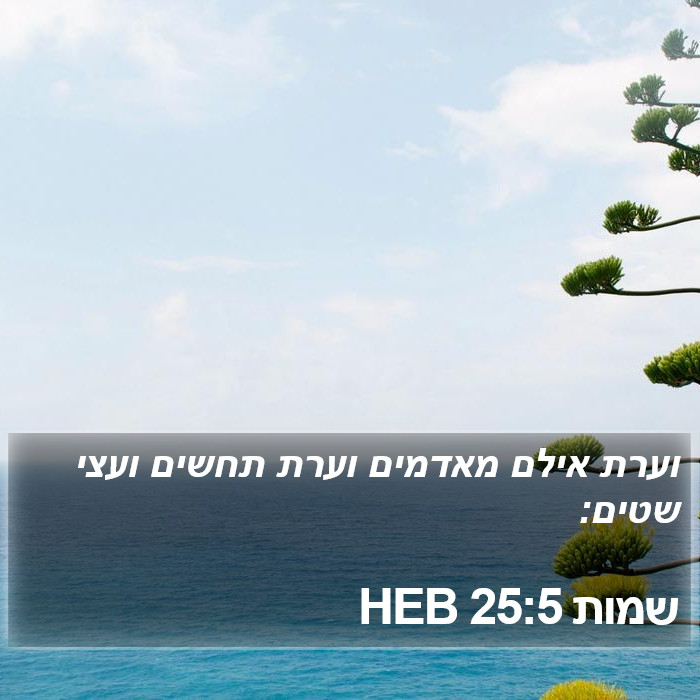 שמות 25:5 HEB Bible Study