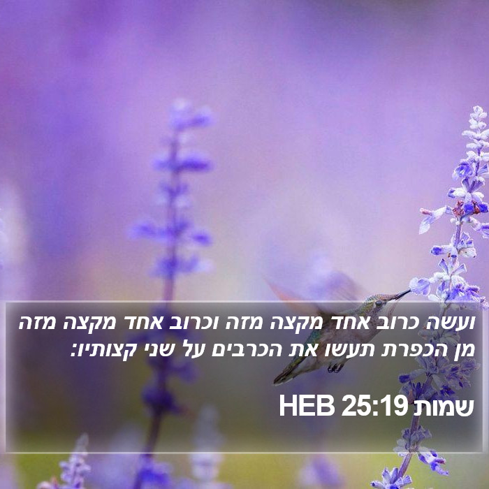 שמות 25:19 HEB Bible Study