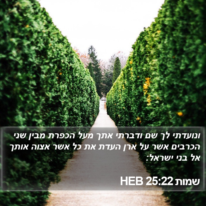 שמות 25:22 HEB Bible Study