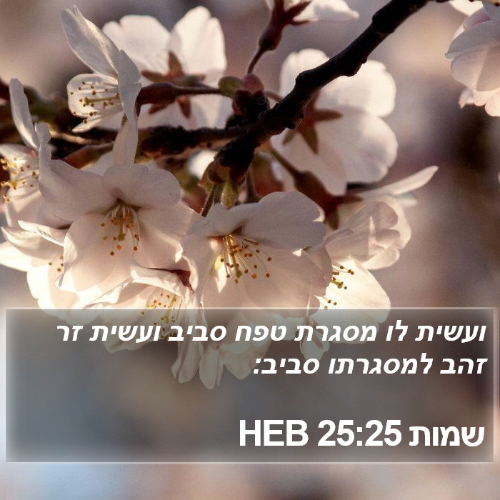 שמות 25:25 HEB Bible Study