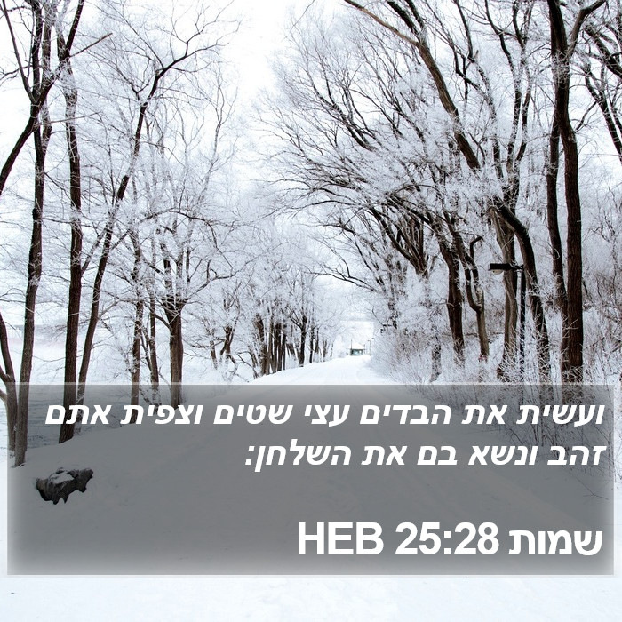 שמות 25:28 HEB Bible Study