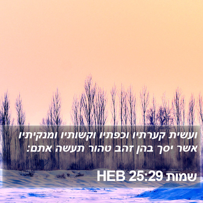 שמות 25:29 HEB Bible Study