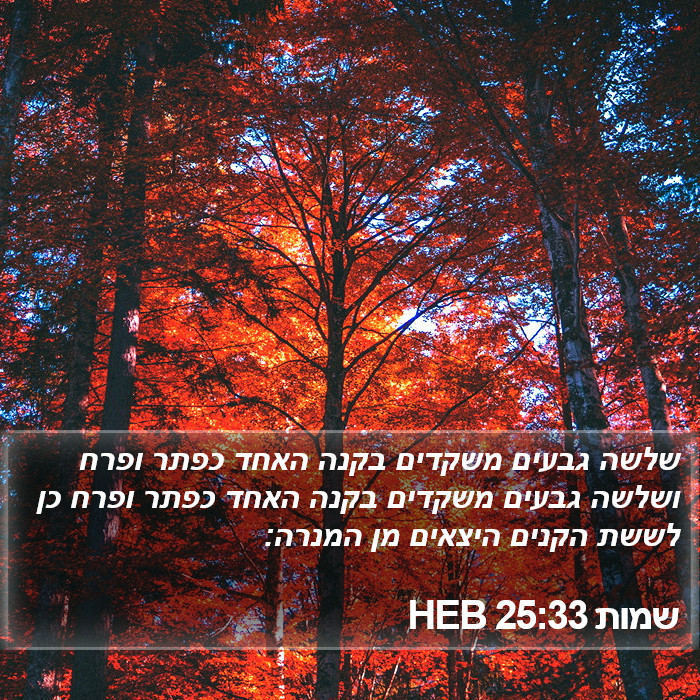 שמות 25:33 HEB Bible Study