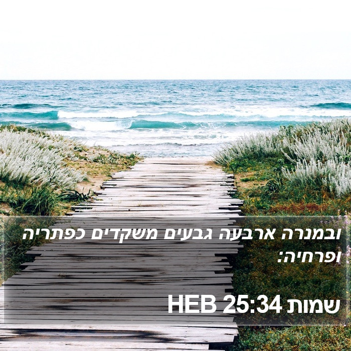 שמות 25:34 HEB Bible Study