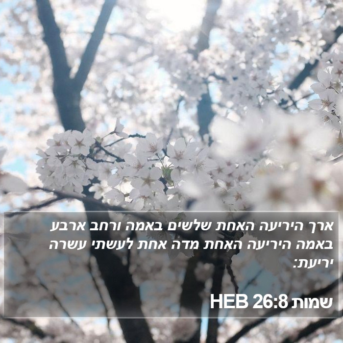 שמות 26:8 HEB Bible Study