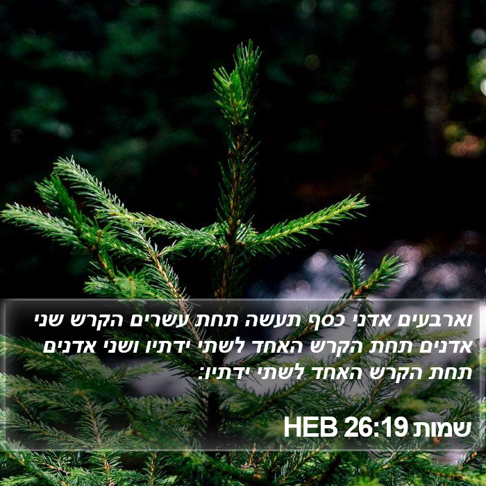 שמות 26:19 HEB Bible Study