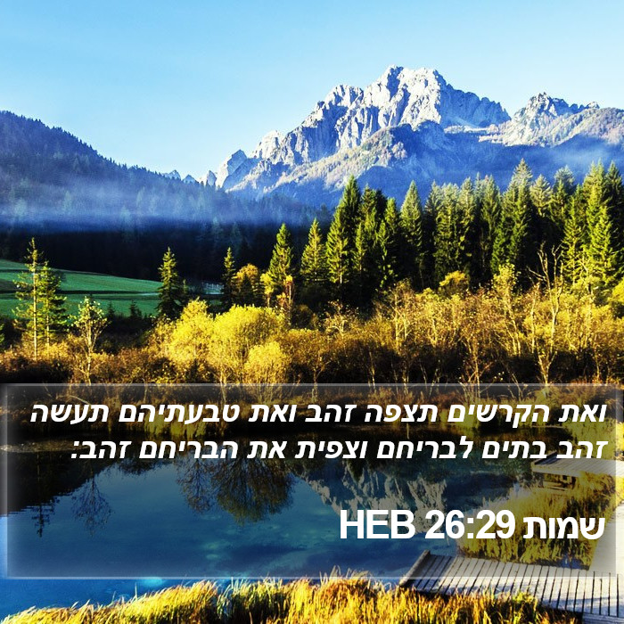 שמות 26:29 HEB Bible Study