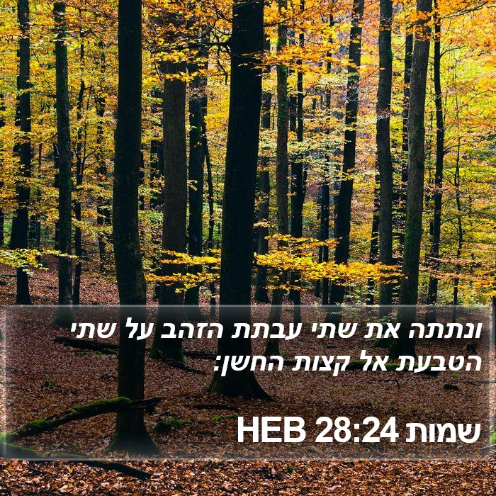 שמות 28:24 HEB Bible Study