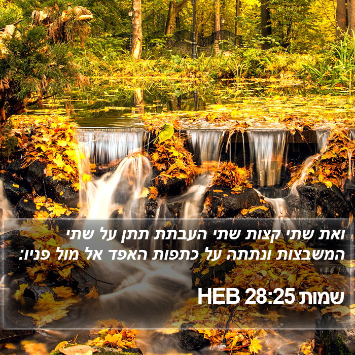 שמות 28:25 HEB Bible Study