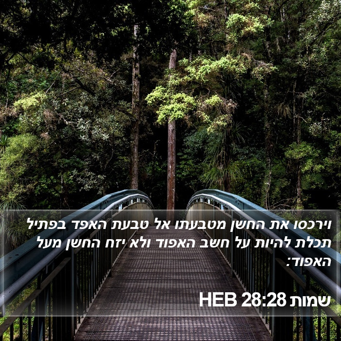 שמות 28:28 HEB Bible Study