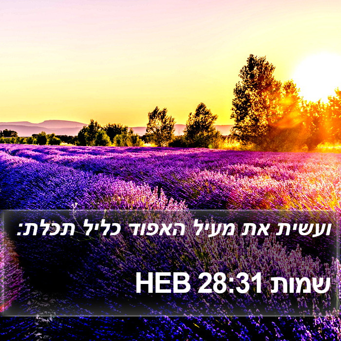 שמות 28:31 HEB Bible Study