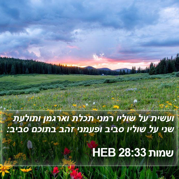 שמות 28:33 HEB Bible Study