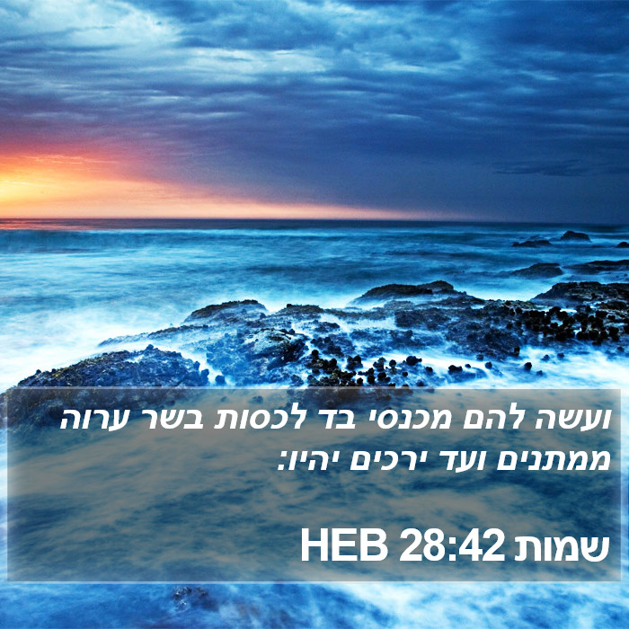 שמות 28:42 HEB Bible Study