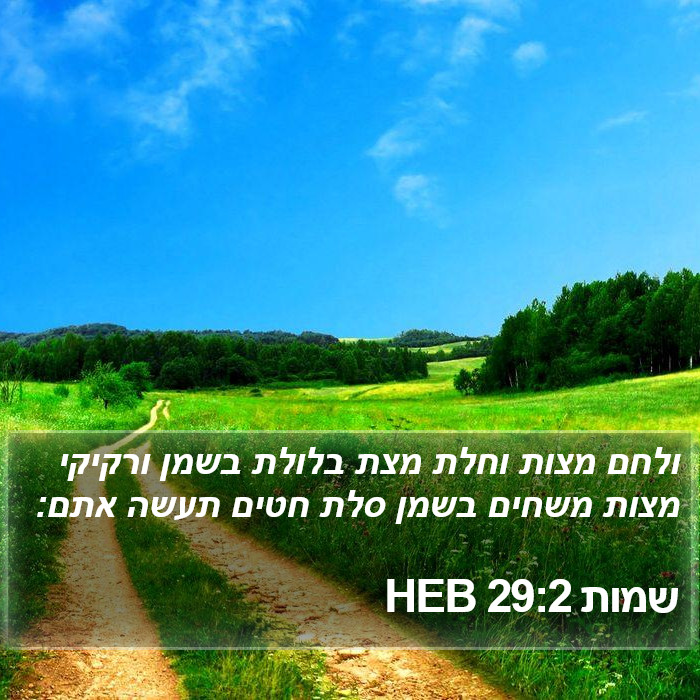 שמות 29:2 HEB Bible Study