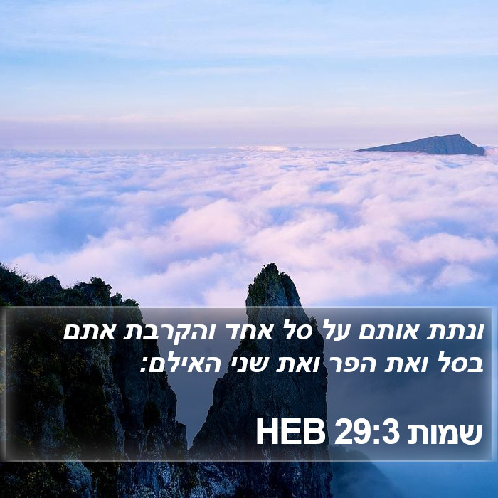 שמות 29:3 HEB Bible Study