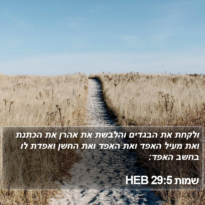 שמות 29:5 HEB Bible Study