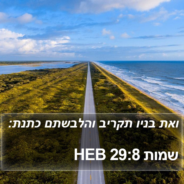 שמות 29:8 HEB Bible Study