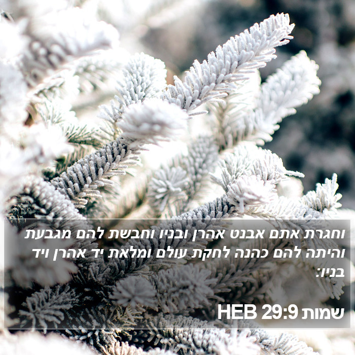 שמות 29:9 HEB Bible Study