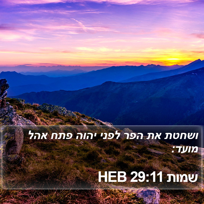 שמות 29:11 HEB Bible Study