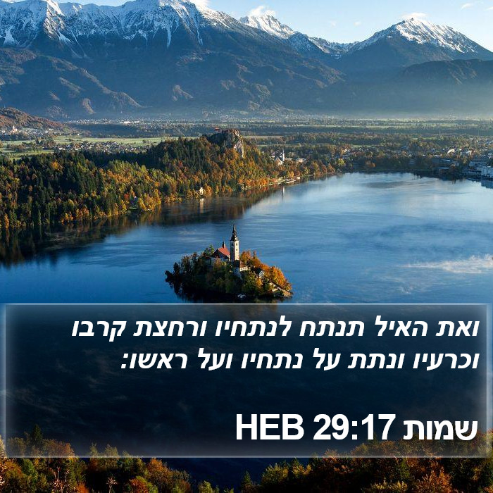 שמות 29:17 HEB Bible Study