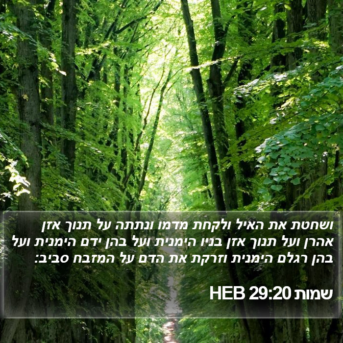 שמות 29:20 HEB Bible Study