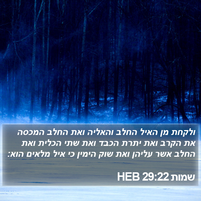 שמות 29:22 HEB Bible Study