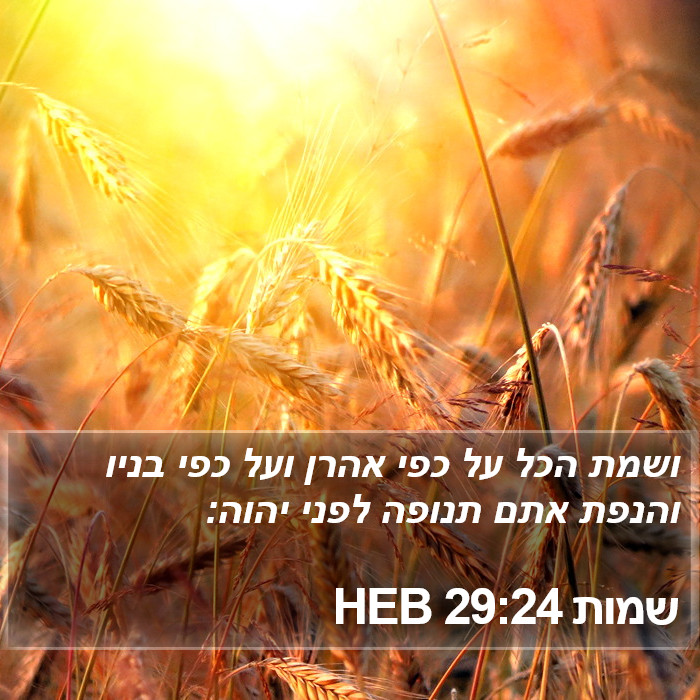 שמות 29:24 HEB Bible Study