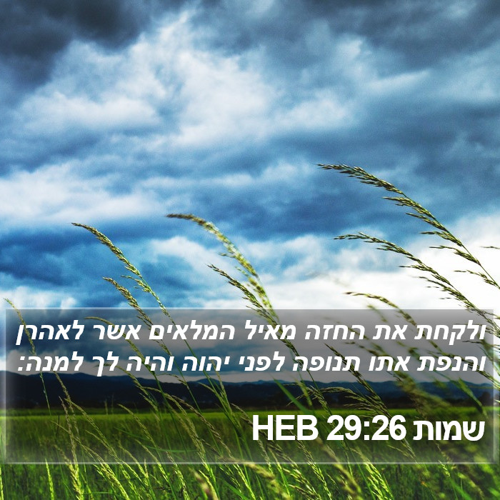 שמות 29:26 HEB Bible Study