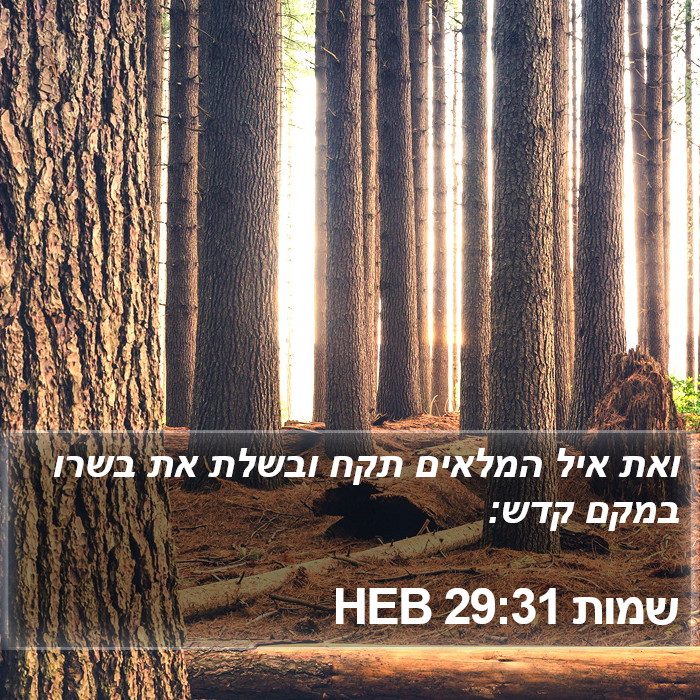 שמות 29:31 HEB Bible Study