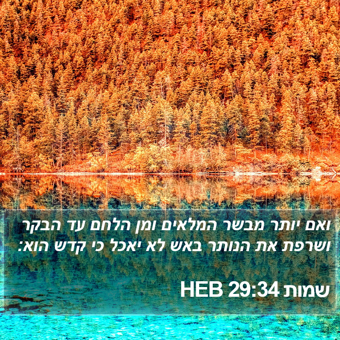 שמות 29:34 HEB Bible Study