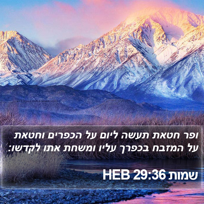 שמות 29:36 HEB Bible Study