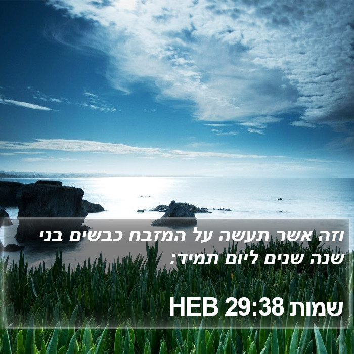 שמות 29:38 HEB Bible Study