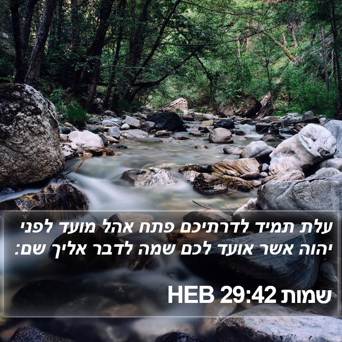 שמות 29:42 HEB Bible Study