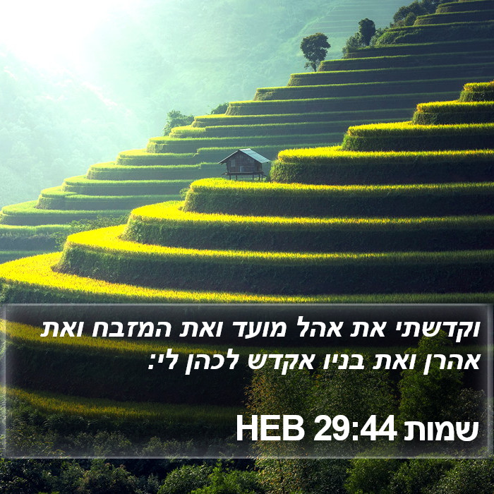 שמות 29:44 HEB Bible Study