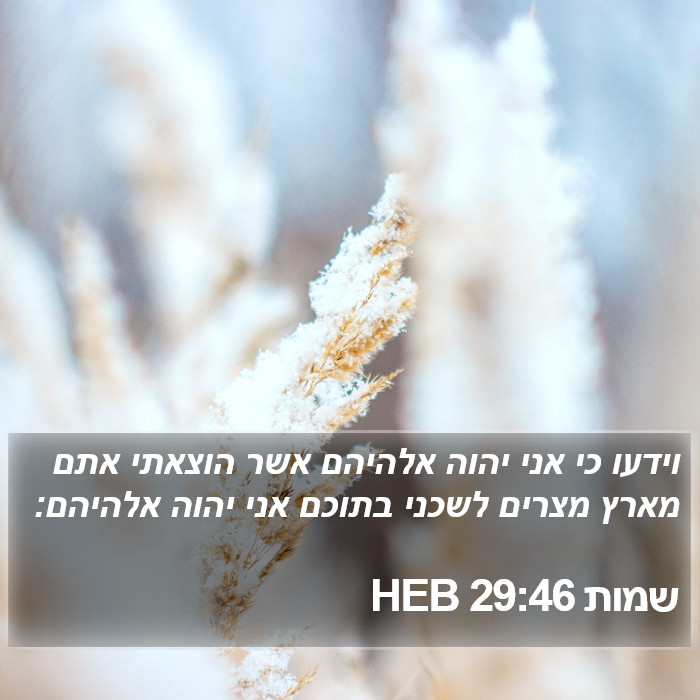 שמות 29:46 HEB Bible Study