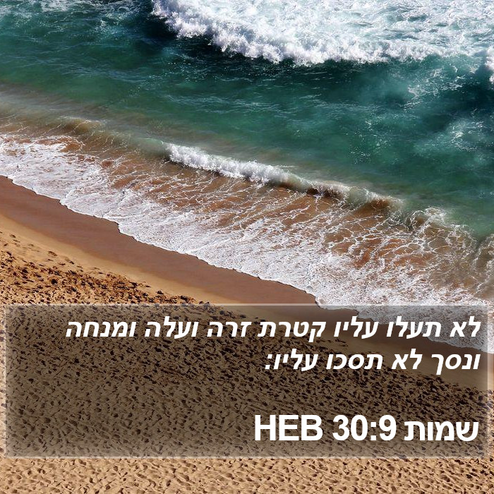 שמות 30:9 HEB Bible Study