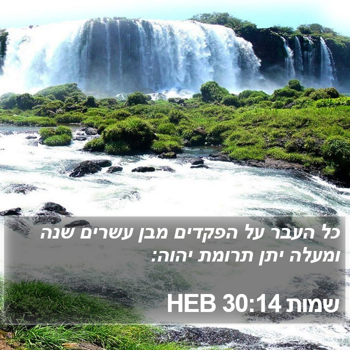 שמות 30:14 HEB Bible Study