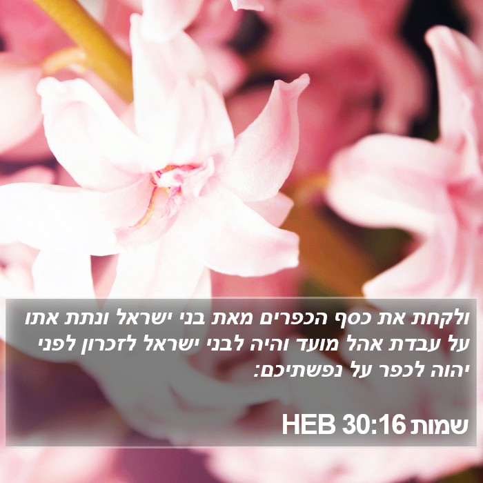 שמות 30:16 HEB Bible Study