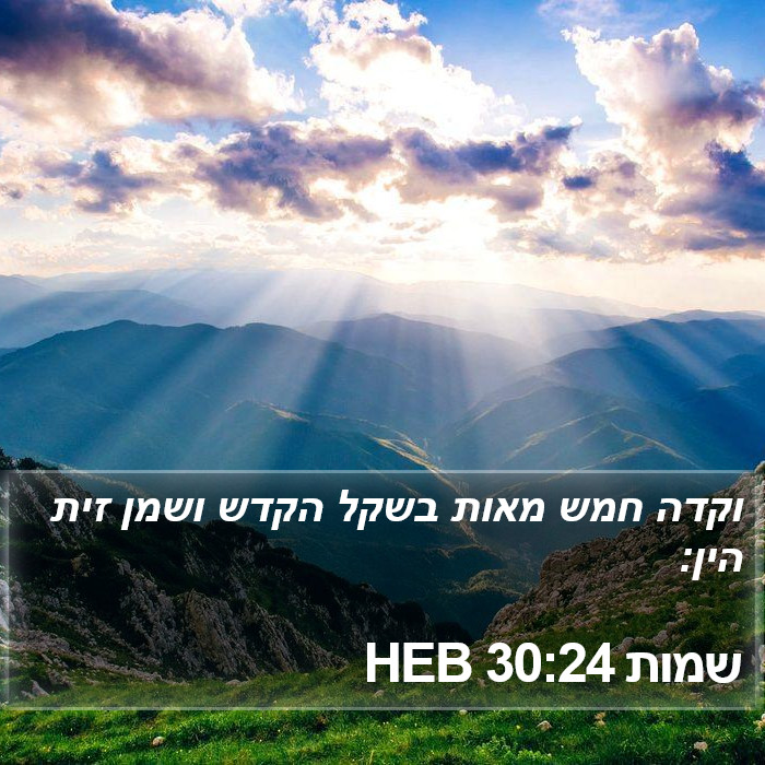 שמות 30:24 HEB Bible Study