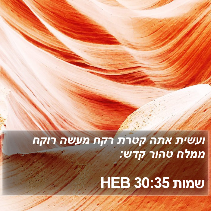 שמות 30:35 HEB Bible Study