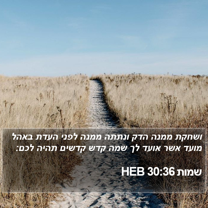 שמות 30:36 HEB Bible Study