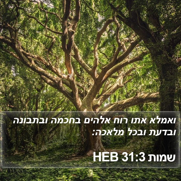 שמות 31:3 HEB Bible Study