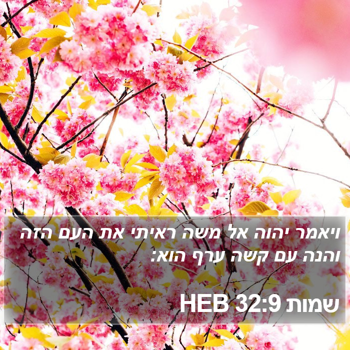 שמות 32:9 HEB Bible Study