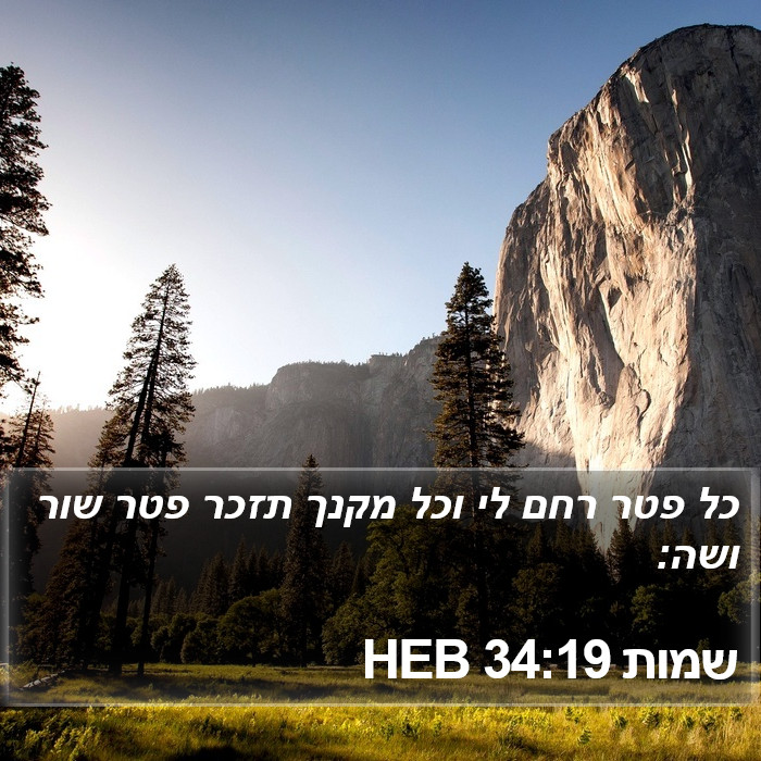 שמות 34:19 HEB Bible Study