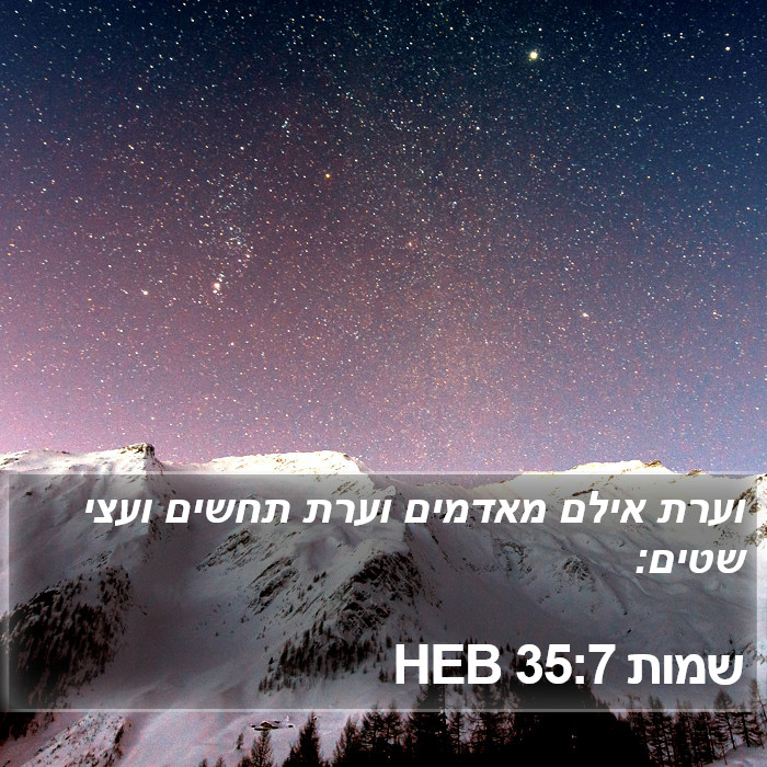 שמות 35:7 HEB Bible Study