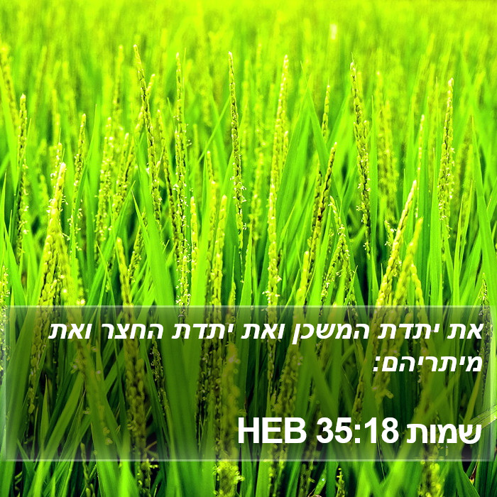 שמות 35:18 HEB Bible Study