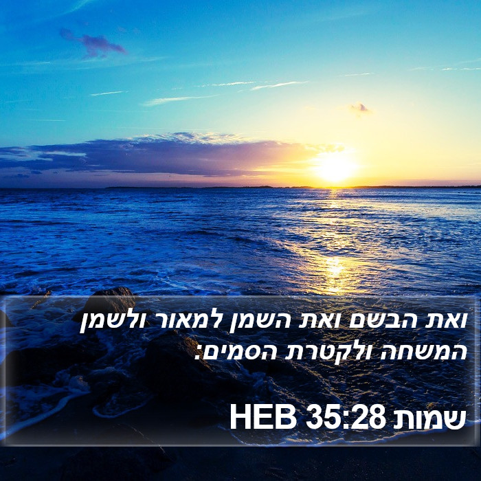 שמות 35:28 HEB Bible Study