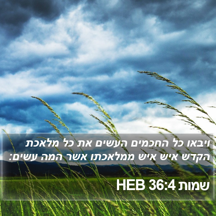 שמות 36:4 HEB Bible Study