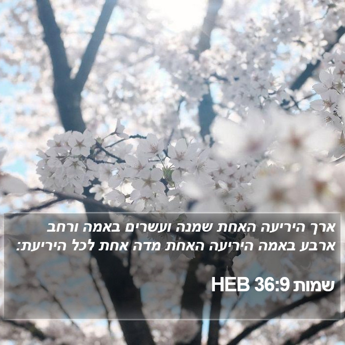 שמות 36:9 HEB Bible Study