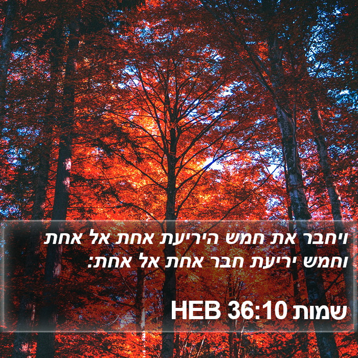 שמות 36:10 HEB Bible Study